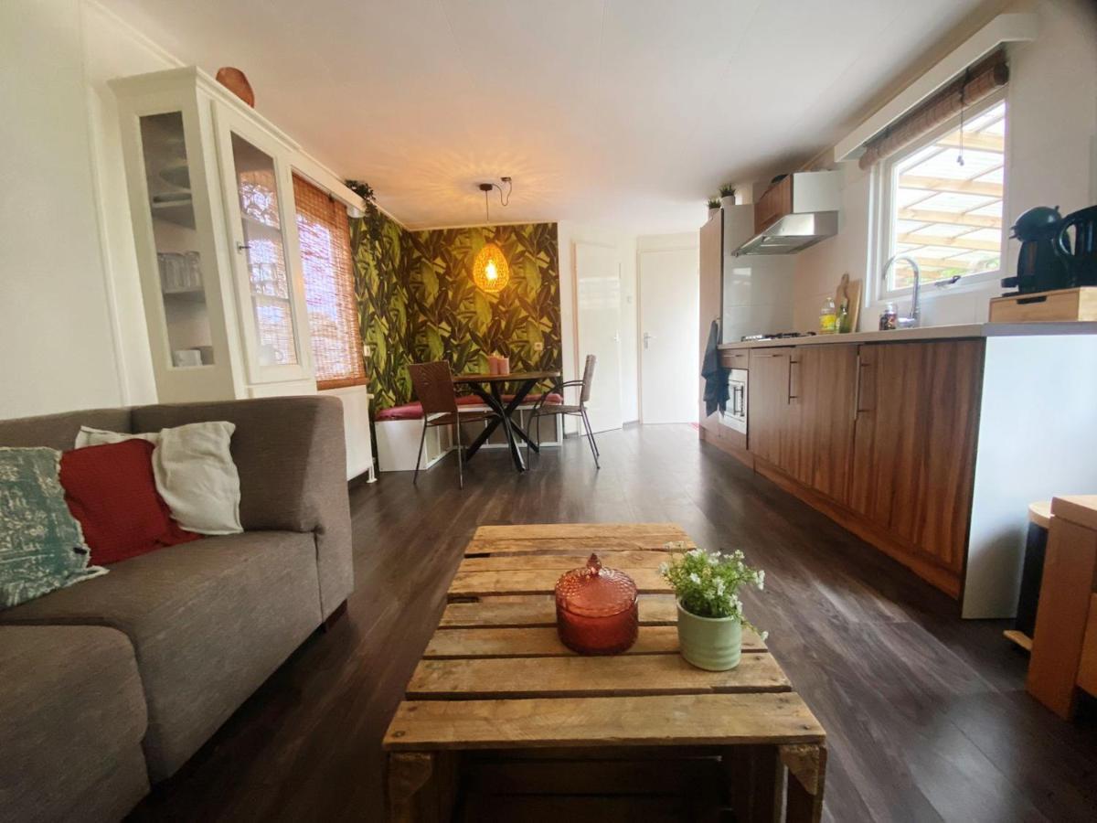 Chalet With Access To The Woods - No 147 Anloo Zewnętrze zdjęcie