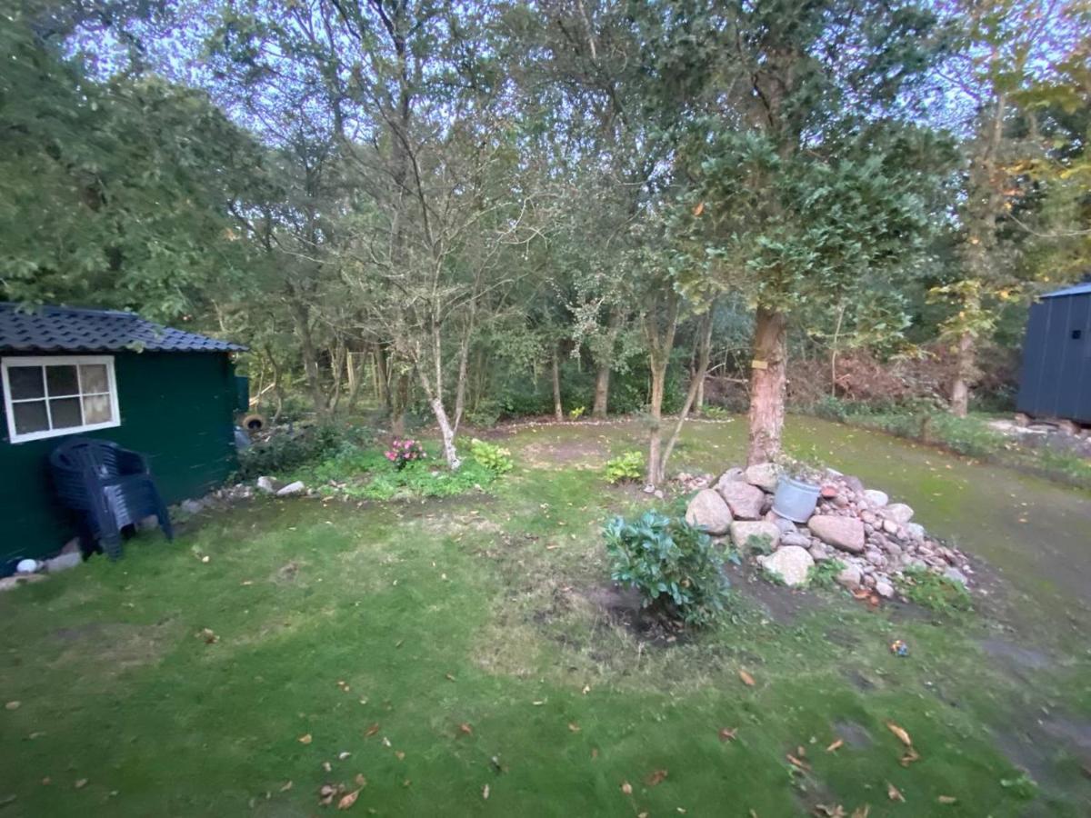 Chalet With Access To The Woods - No 147 Anloo Zewnętrze zdjęcie